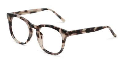 Diff Weston Tortoise,beige In Tortoise,beige