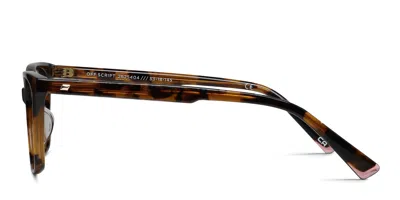 Le Specs Off Script Tortoise In Tortoise