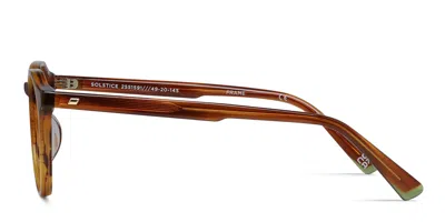 Le Specs Solstice Brown,tortoise In Brown,tortoise