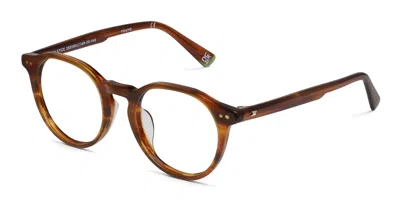 Le Specs Solstice Brown,tortoise In Brown,tortoise
