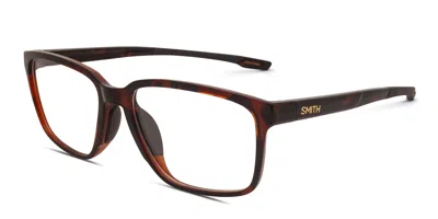 Smith Optics Basepath Brown,tortoise In Brown,tortoise
