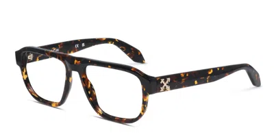 Off-white Ow5035 Tortoise In Tortoise