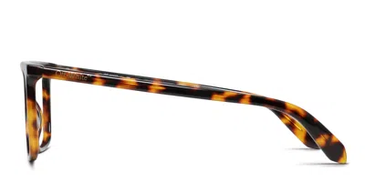 Off-white Ow5026 Tortoise In Tortoise