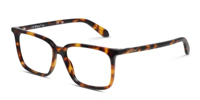 Off-white Ow5026 Tortoise In Tortoise