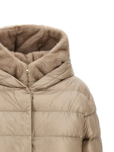 Herno Down Jacket In Multi