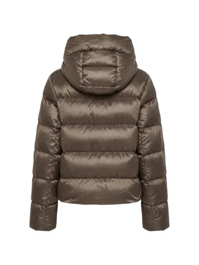 Max Mara Quilted Puffer Down Jacket In Brown