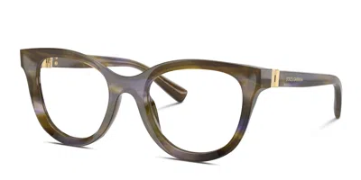 Dolce & Gabbana Dg3437 Multicolor/green In Multicolor,green