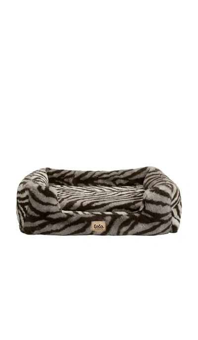 Lola Blankets Medium Pet Bed 미디엄 펫 베드 In Multi
