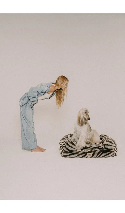 Lola Blankets Medium Pet Bed 미디엄 펫 베드 In Multi