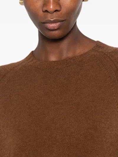 Arovescio Pullover Mit Raglanärmeln In Brown