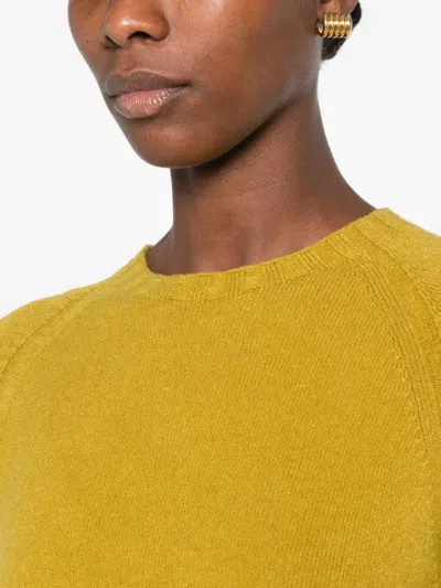 Arovescio Pullover Mit Gerippten Details In Multi