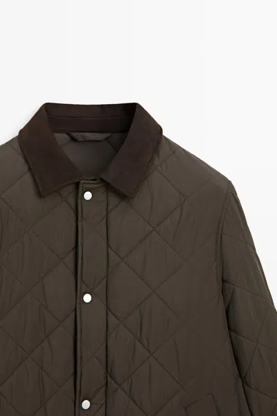Massimo Dutti In Brown