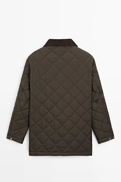 Massimo Dutti In Brown