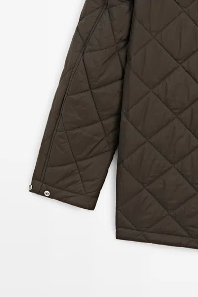 Massimo Dutti In Brown