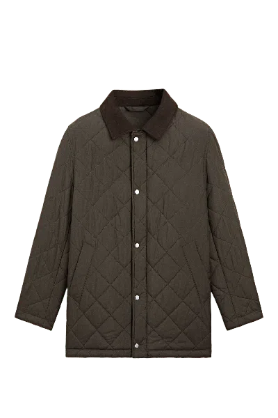 Massimo Dutti In Brown