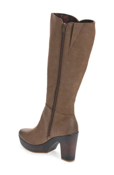 Korks Avalon Knee High Boot In Brown