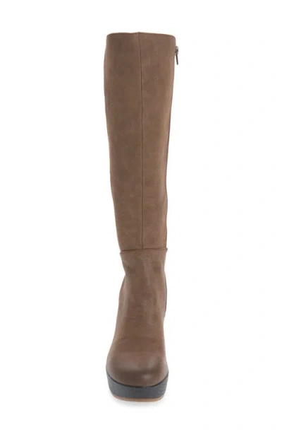 Korks Avalon Knee High Boot In Brown