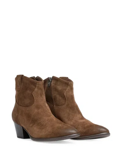 Ash Fame Suede Ankle Boots In Animal Print
