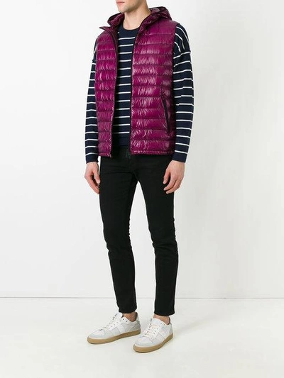Shop Herno Classic Gilet In Pink