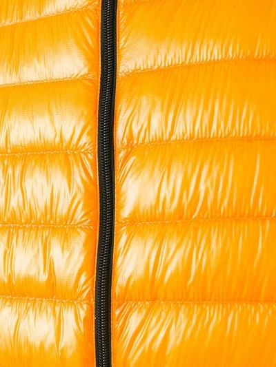 Shop Herno Classic Gilet - Orange In Yellow & Orange