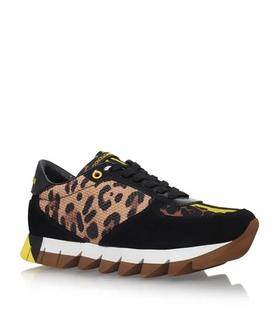 Shop Dolce & Gabbana Capri Trainers