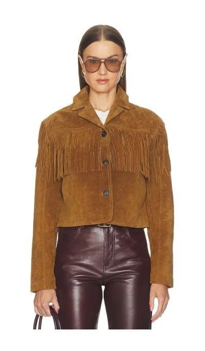 Blanknyc 자켓 In Brown