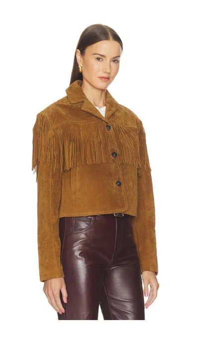 Blanknyc 자켓 In Brown