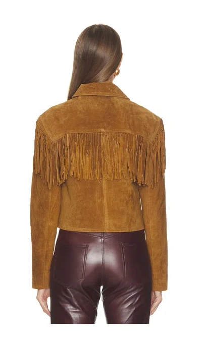 Blanknyc 자켓 In Brown