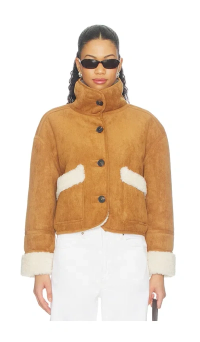 Blanknyc 자켓 In Brown