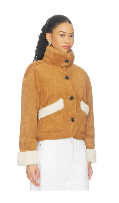 Blanknyc 자켓 In Brown