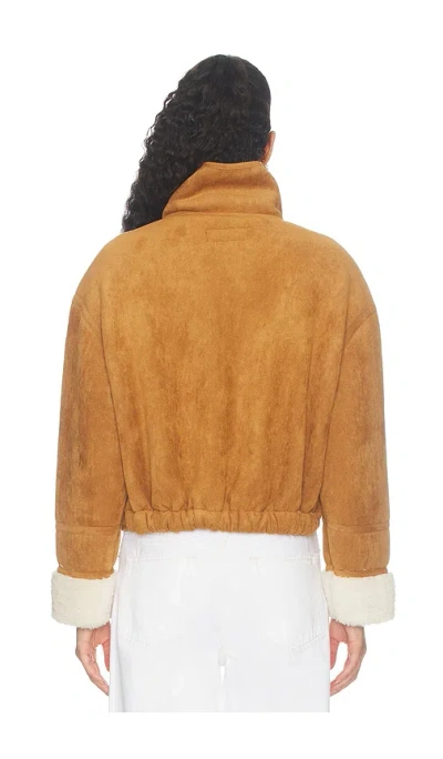 Blanknyc 자켓 In Brown