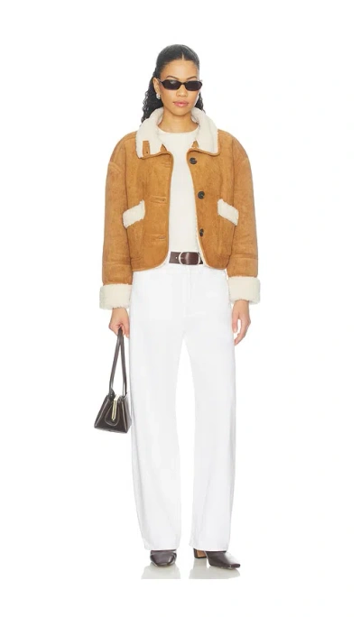 Blanknyc 자켓 In Brown