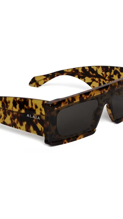 Alaïa Acetate Rectangular Mask Sunglasses In Multi