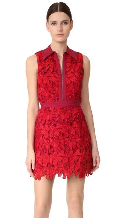 Alice And Olivia Ellis Guipure Lace Sleeveless Zip-front Dress, Red, Multi In Bordeaux/poppy