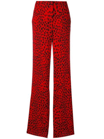 Shop Roberto Cavalli Printed Palazzo Pants In Red