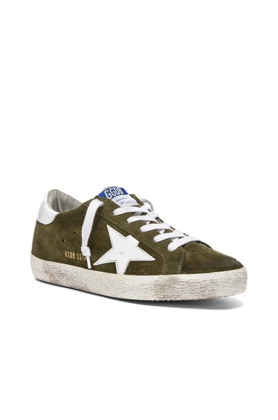 Shop Golden Goose Suede Superstar Low Sneakers In Olive Green & White