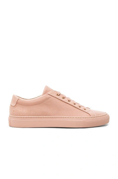 Common Projects Achilles Low-top Canvas Trainers In Pink