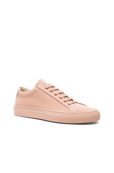 Shop Common Projects Canvas Achilles Low In Pink