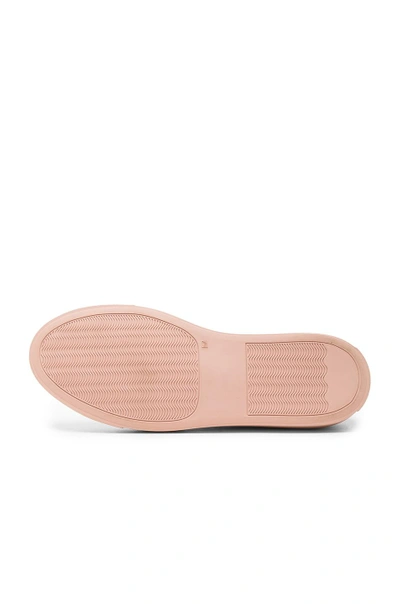 Shop Common Projects Canvas Achilles Low In Pink