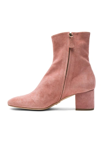 Shop Brother Vellies Kaya Boot In Flamingo Suede