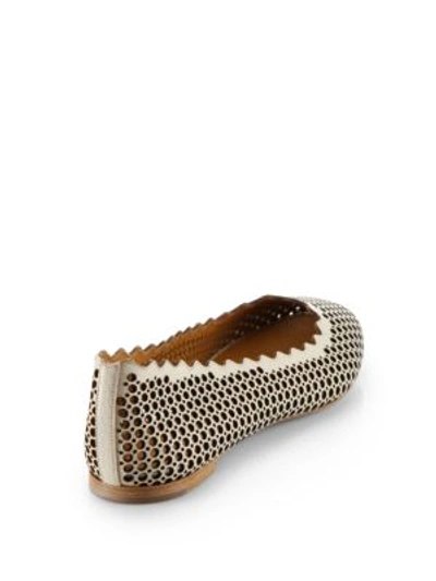 Chloé Perforated Leather Ballet Flats In Grey