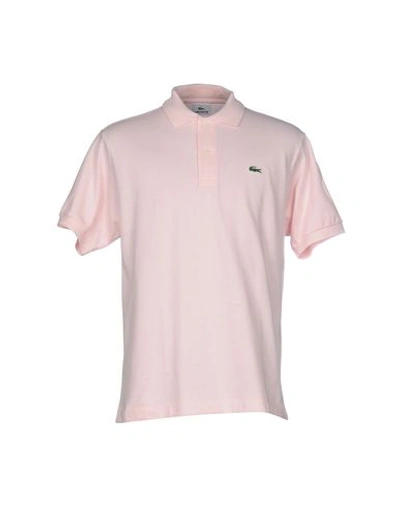 Lacoste Polo衫 In Light Pink