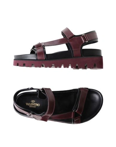 Valentino Garavani Sandals In Maroon