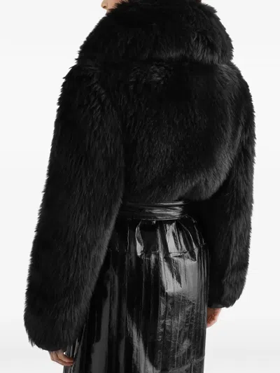 Dolce & Gabbana Eel Coat In Multi