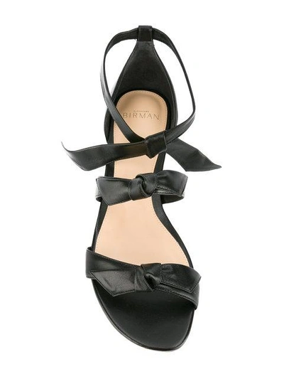 Shop Alexandre Birman Flat Bow Sandals