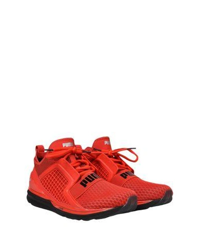 Shop Puma Sneakers In Red