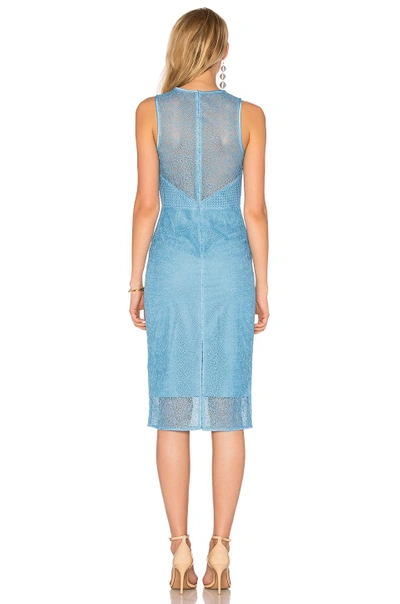 Shop Diane Von Furstenberg Lace Dress In Blue