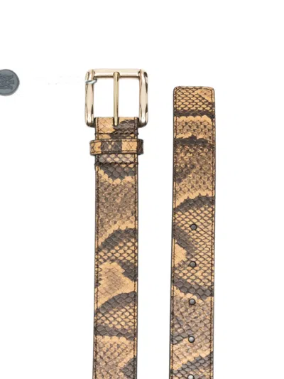 Amiri Python Square Belt With Leather Details And Reptile Print In Brown