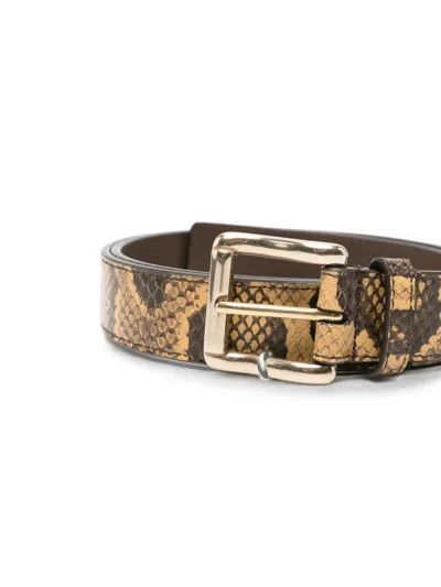 Amiri Python Square Belt With Leather Details And Reptile Print In Brown