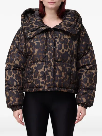 Save The Duck Leopard-print Puffer Jacket In Brown